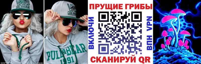Галлюциногенные грибы Magic Shrooms  где найти   Изобильный 